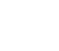 Visualfive
